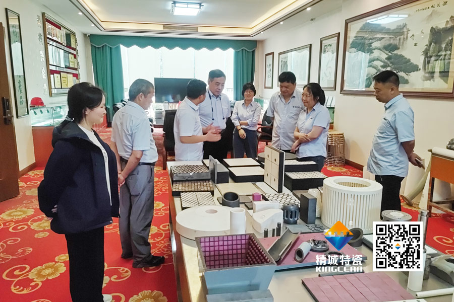 清华大学潘伟教授到访KB88凯时官网特瓷