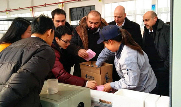 凯时KB88·(中国区)官方网站