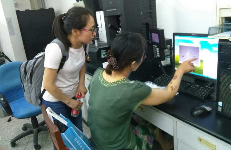 凯时KB88·(中国区)官方网站